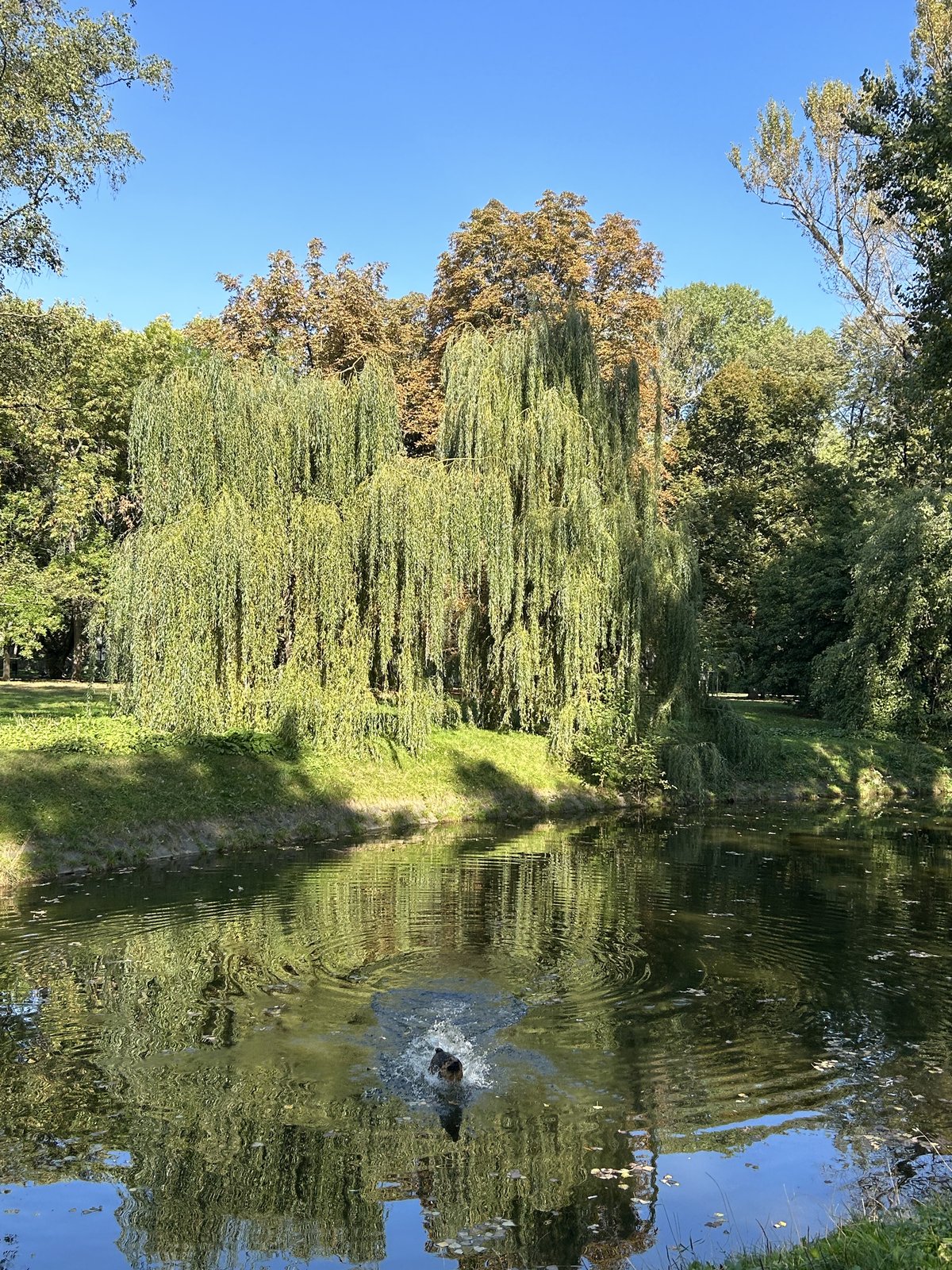 Park Morskie Oko przy wynajmowanych gabinetach terapeutycznych - Warszawa Stary Mokotów